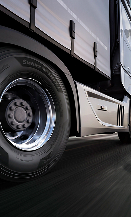 Reclamação de garantias